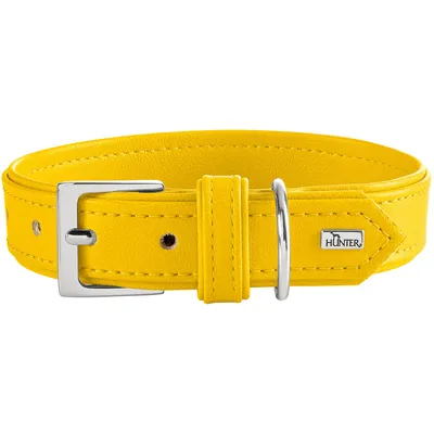 HUNTER collier pour chien Amalfi HUNTER collier pour chien Amalfi