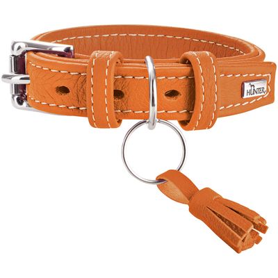 HUNTER collier pour chien Cannes