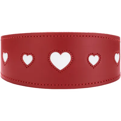 HUNTER collier pour lévrier Love HUNTER collier pour lévrier Love