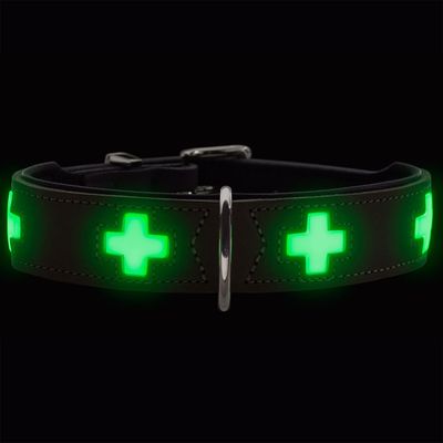 HUNTER collier pour chien Swiss Glow