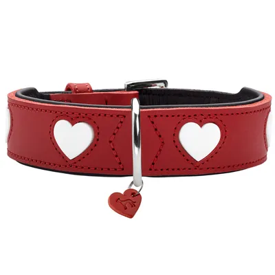 HUNTER collier pour chien Love HUNTER collier pour chien Love