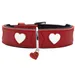 HUNTER collier pour chien Love