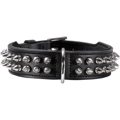 HUNTER collier pour chien Rambo HUNTER collier pour chien Rambo