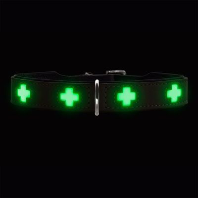 HUNTER collier pour chien Swiss Glow