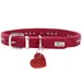 HUNTER collier pour chien Aalborg Hearts