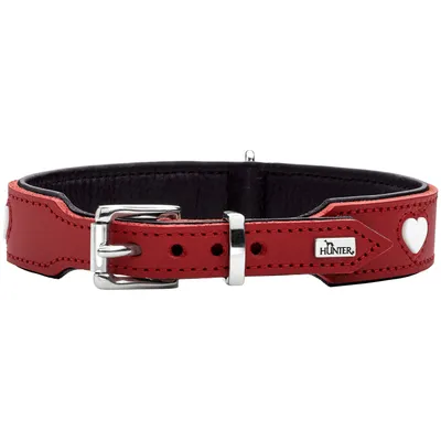 HUNTER collier pour chien Love HUNTER collier pour chien Love