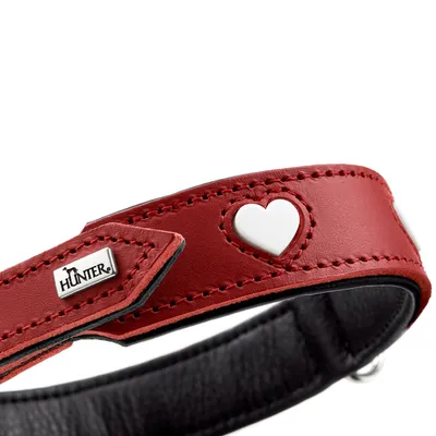 HUNTER collier pour chien Love HUNTER collier pour chien Love