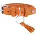 HUNTER collier pour chien Cannes