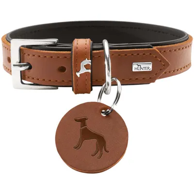 HUNTER collier pour chien Larvik HUNTER collier pour chien Larvik