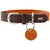 S, Coul: orange/marron foncé, TC: 33-39 cm, Larg: 2, 0 cm