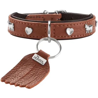 HUNTER collier pour chien München Mini HUNTER collier pour chien München Mini