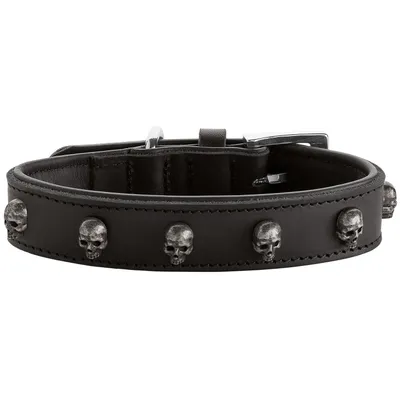 HUNTER Hundehalsband Tijuana HUNTER Hundehalsband Tijuana