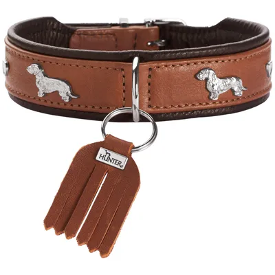 HUNTER collier pour teckel München HUNTER collier pour teckel München