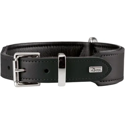 HUNTER collier pour chien Basic HUNTER collier pour chien Basic