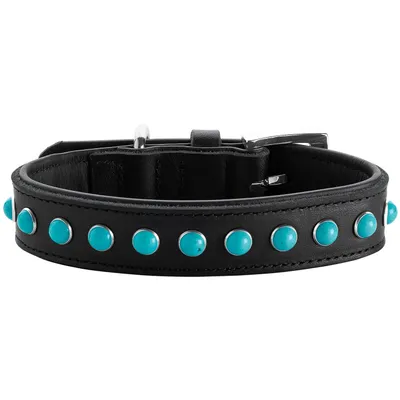 HUNTER collier pour chien Modica HUNTER collier pour chien Modica