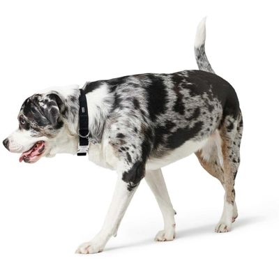 HUNTER Hundehalsung Softie Alu Strong