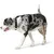 HUNTER collier pour chien Softie Alu Strong HUNTER collier pour chien Softie Alu Strong