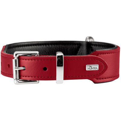 HUNTER collier pour chien Basic