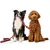 HUNTER laisse réglable pour chien Love HUNTER laisse réglable pour chien Love