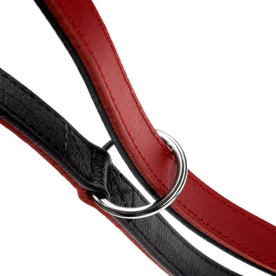 HUNTER laisse réglable pour chien Love HUNTER laisse réglable pour chien Love