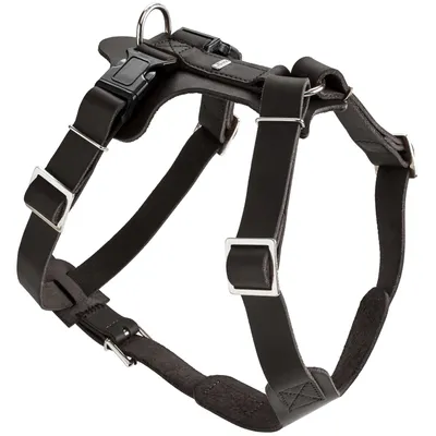 HUNTER harnais pour chien Aalborg HUNTER harnais pour chien Aalborg