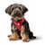 XXS-XS, Coul: rouge, TC: 30-34 cm, TP: 32-36 cm