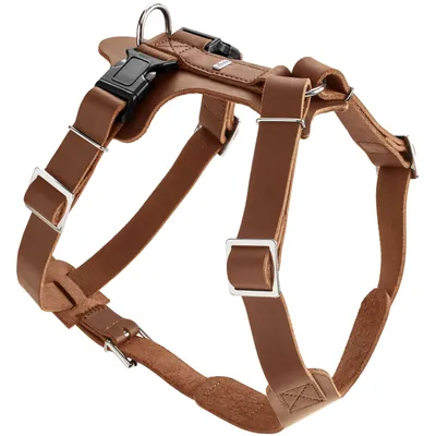 HUNTER harnais pour chien Aalborg HUNTER harnais pour chien Aalborg