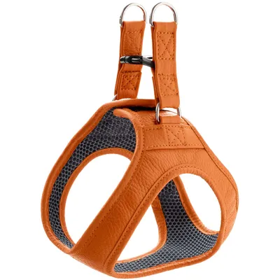 HUNTER harnais pour chien Hilo HUNTER harnais pour chien Hilo