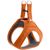 S, Coul: orange, TC: 43-48 cm, TP: 45-50 cm