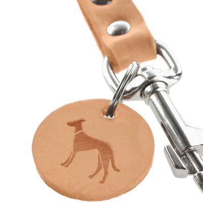 HUNTER laisse réglable pour chien