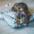 Friandises pour Chien, Oreilles de Porc, X12