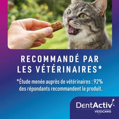 DentActiv Action Friandises Dentaires pour Chat, Lot de 10 sachets de 50g DentActiv Action Friandises Dentaires pour Chat, Lot de 10 sachets de 50g