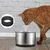 16 pièces mousse fontaine animaux éponge ronde 2 5 L 84 oz
