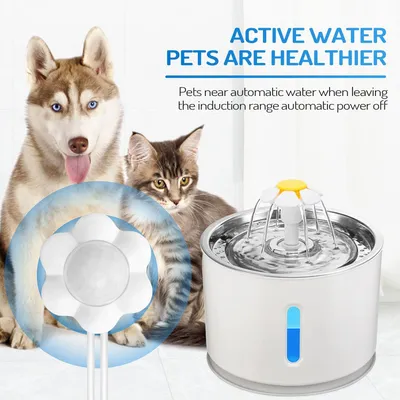 Capteur mouvement distributeur fontaine chien USB infrarouge intelligent