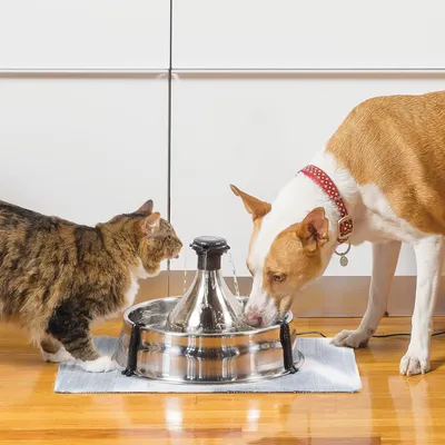 PetSafe Filtre animaux Drinkwell 360 plastique inoxydable lot 3 au Charbon PetSafe Filtre animaux Drinkwell 360 plastique inoxydable lot 3 au Charbon