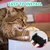 12 pièces filtre éponge noir fontaine eau chat anti poils