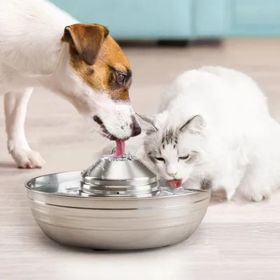 Automatique Chats Chiens, 2 L, Inoxydable Facile Filtres Inclus. Fontaine Automatique Chats Chiens, 2 L, Inoxydable Facile Filtres Inclus. Fontaine