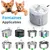 Pompe eau submersible fontaine chat chien