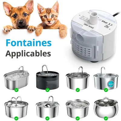 Pompe eau submersible fontaine chat chien