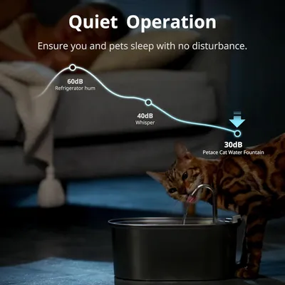 Pompe eau submersible fontaine chat chien