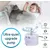 Pompe Inoxydable Chats Pompe Remplacement silencieuse Pompe Chiens Fontaine Pompe Inoxydable Chats Pompe Remplacement silencieuse Pompe Chiens Fontaine