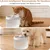 Fontaine à eau 1,8 L avec système de filtration multicouche et circulation Fontaine à eau 1,8 L avec système de filtration multicouche et circulation