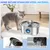 Fontaine à eau pour animaux de compagnie en acier inoxydable de 3,2 L Fontaine à eau pour animaux de compagnie en acier inoxydable de 3,2 L