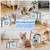 Fontaine à eau pour animaux de compagnie en acier inoxydable de 3,2 L Fontaine à eau pour animaux de compagnie en acier inoxydable de 3,2 L