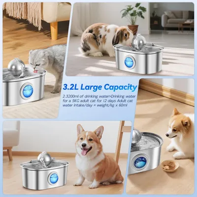 Fontaine à eau pour animaux de compagnie en acier inoxydable de 3,2 L Fontaine à eau pour animaux de compagnie en acier inoxydable de 3,2 L