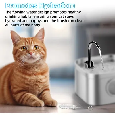 Kit accessoires rechange fontaine eau chat bec verseur brosse nettoyage Kit accessoires rechange fontaine eau chat bec verseur brosse nettoyage