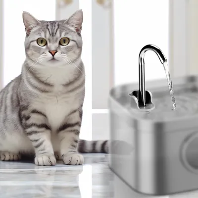 HausPets Kit accesorios repuesto fuente agua gatos, boquilla cepillo
