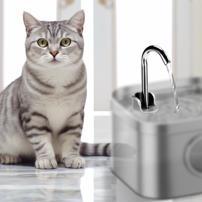 Kit accessoires rechange fontaine eau chat bec verseur brosse nettoyage