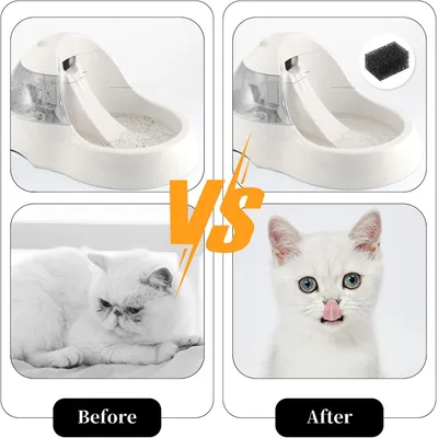 HausPets Filtro de esponja cuadrado para fuente de gato de 2,5 L HausPets Filtro de esponja cuadrado para fuente de gato de 2,5 L