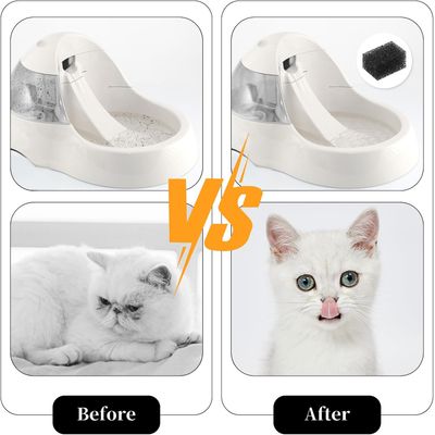 Filtre fontaine chat éponge filtrante carrée pour 2 5 L